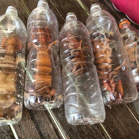 Spheredivers Scuba & Leisure Mabul Island Экстерьер фото